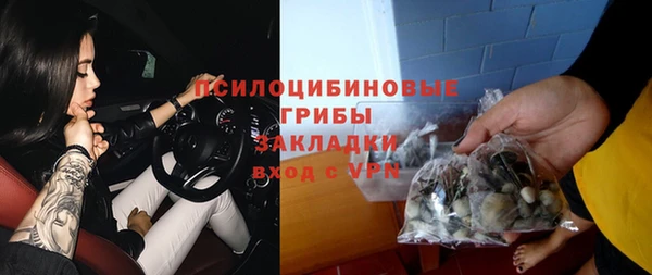 стафф Абдулино