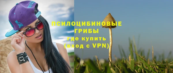 метадон Абаза