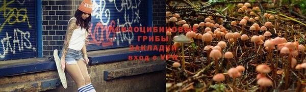 стафф Абдулино