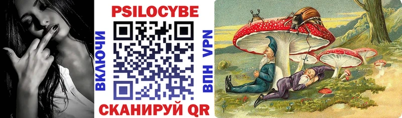 Псилоцибиновые грибы Cubensis Звенигород