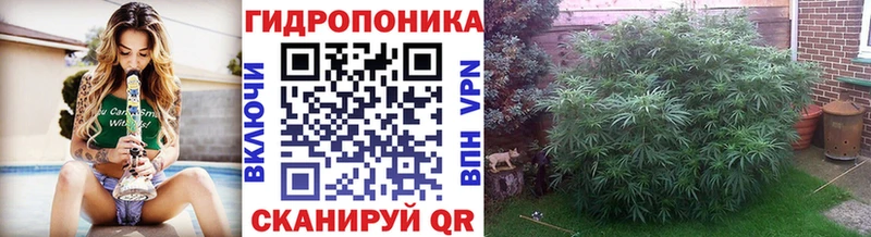 Конопля семена  Звенигород 